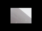 https://image.noelshack.com/fichiers/2012/25/1340280543-9c7e73494d801045ec423ac4db432307.png