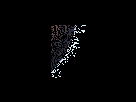https://image.noelshack.com/fichiers/2012/25/1340280592-rqh6W_54.gif