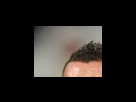 https://image.noelshack.com/fichiers/2012/25/1340280901-987af6edddc1abd3eaf4df612efb55ff.png