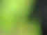 https://image.noelshack.com/fichiers/2012/25/1340280902-f53b051848a1e83fe56e5566b6f851df.png