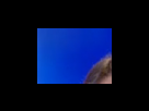 https://image.noelshack.com/fichiers/2012/25/1340281028-b64a3a2705b5fe40b2c46bf4286bdc8b.png