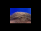 https://image.noelshack.com/fichiers/2012/25/1340281028-f302af9647db7bcb1e21ed64a417834d.png