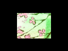 https://image.noelshack.com/fichiers/2012/25/1340281261-c3359a7f2096398f56bddd18db0c7c99.png