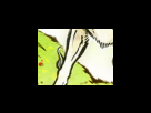 https://image.noelshack.com/fichiers/2012/25/1340281262-07072b0210a38a64257f7ec72eb50415.png