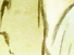https://image.noelshack.com/fichiers/2012/25/1340281262-d7cbe1455936a4ef6c3eb2c65b6cdf48.png