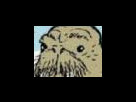 https://image.noelshack.com/fichiers/2012/25/1340281414-a41b8bd71c60f068640e7f3072ea1cdc.png