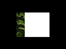 https://image.noelshack.com/fichiers/2012/25/1340281528-7936c020f667f4c52f17a234ad499302.png