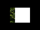 https://image.noelshack.com/fichiers/2012/25/1340281529-13c5b2448406a4344e24ff8e7ae625eb.png