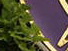 https://image.noelshack.com/fichiers/2012/25/1340281529-2a979bfb726c569ea1b1936834320d6c.png