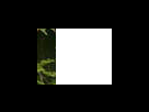 https://image.noelshack.com/fichiers/2012/25/1340281529-a16df881374ea1aaf431c93246463d8e.png