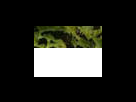 https://image.noelshack.com/fichiers/2012/25/1340281530-52906aa5699f92fa42faf3d31962f993.png