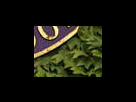 https://image.noelshack.com/fichiers/2012/25/1340281530-602a8e85e6c8a6c929c46f7eb58d5f8e.png