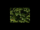https://image.noelshack.com/fichiers/2012/25/1340281530-6dbd64a965f6a3b69763466957c8a308.png