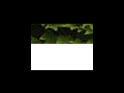 https://image.noelshack.com/fichiers/2012/25/1340281530-90f1904e7ba8ce59d2647ef3e21e69ef.png