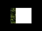 https://image.noelshack.com/fichiers/2012/25/1340281530-a8a69f71b26c6163d0023870f7c63775.png