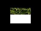 https://image.noelshack.com/fichiers/2012/25/1340281530-b7c709436defff4a8e7921bdfee09f19.png