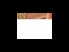 https://image.noelshack.com/fichiers/2012/25/1340281730-9b2483884d44664bce6197d4a406a640.png