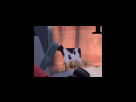 https://image.noelshack.com/fichiers/2012/25/1340281830-11d3a674ac354bdaf35c6222124e02a3.png