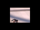 https://image.noelshack.com/fichiers/2012/25/1340281831-de517b80d254efbded7523af0592a1ee.png