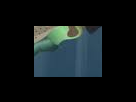 https://image.noelshack.com/fichiers/2012/25/1340281893-eb1545e367b503affafcde5e81afe85c.png