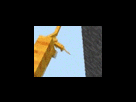 https://image.noelshack.com/fichiers/2012/25/1340281945-22bd9f25addeb6947e2b4713c965492e.png