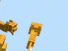 https://image.noelshack.com/fichiers/2012/25/1340281945-3743b0d9c4a5f8f44dea8ab1e4c0fae6.png