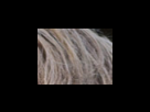 https://image.noelshack.com/fichiers/2012/25/1340281971-04d444ce0d9a7aa3999daa6953f75524.png