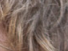 https://image.noelshack.com/fichiers/2012/25/1340281971-1de2fa91e4c46323c7d610a185c93f70.png