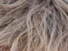 https://image.noelshack.com/fichiers/2012/25/1340281971-d85192dbc3461a230b6bed9043535f03.png