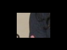 https://image.noelshack.com/fichiers/2012/25/1340281996-32f540f552b594165f30141d814a929c.png