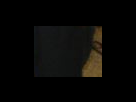 https://image.noelshack.com/fichiers/2012/25/1340281997-36ced5292c7ad048eed049f5b9ff1195.png