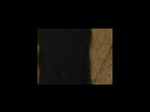 https://image.noelshack.com/fichiers/2012/25/1340281997-4c73dfeba82d7717f504aa135f2800b0.png
