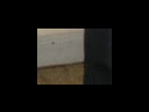 https://image.noelshack.com/fichiers/2012/25/1340281997-662c1102e3d77b40c25287eececfe64f.png