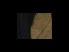 https://image.noelshack.com/fichiers/2012/25/1340281997-a7110722ade2714997cf7e28fdd895b3.png