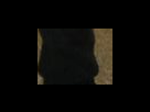 https://image.noelshack.com/fichiers/2012/25/1340281998-6bec63c513f416f0be6b060cc2d6555a.png