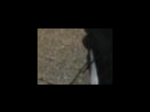 https://image.noelshack.com/fichiers/2012/25/1340281998-8629a77b2e2e54e3b3eecf2825692a8e.png