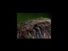 https://image.noelshack.com/fichiers/2012/25/1340282015-ee60a4d4bb740d0ad6bac8b9fd4bf2f5.png
