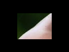 https://image.noelshack.com/fichiers/2012/25/1340282016-6913641495bf971cb8d8acc16d782d96.png