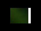 https://image.noelshack.com/fichiers/2012/25/1340282016-8eafe9e1cda5ed8acf260608ca6f4d05.png