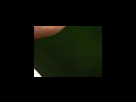 https://image.noelshack.com/fichiers/2012/25/1340282017-928ae0612935bbbef374a6821efe658c.png