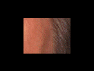 https://image.noelshack.com/fichiers/2012/25/1340282049-8ce745c6b419a49c0a357c93bfe1e540.png