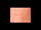 https://image.noelshack.com/fichiers/2012/25/1340282050-5e7cfea2c77e12f1134f3eb56d552fc1.png