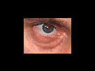 https://image.noelshack.com/fichiers/2012/25/1340282050-9a5e749cada3f225d38ad10c138f9d71.png