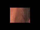 https://image.noelshack.com/fichiers/2012/25/1340282050-d04aa3f1744cd3aab71daeb545c0add5.png