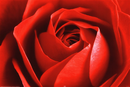 https://image.noelshack.com/fichiers/2012/25/1340282103-rouge.jpg