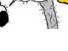 https://image.noelshack.com/fichiers/2012/25/1340282120-bb962b6d3d1370dd8d9cd1e5cce4c280.png