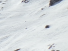 https://image.noelshack.com/fichiers/2012/25/1340282152-94e352d1096c5ffcc62c9ae7189d312c.png