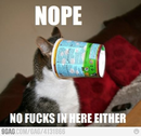 https://image.noelshack.com/fichiers/2012/25/1340282158-cat2.jpg