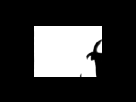https://image.noelshack.com/fichiers/2012/25/1340282233-fe334cabecf3e0821d90854707d5f2d3.png
