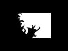 https://image.noelshack.com/fichiers/2012/25/1340282234-80372c3438afa04e765787da52674759.png